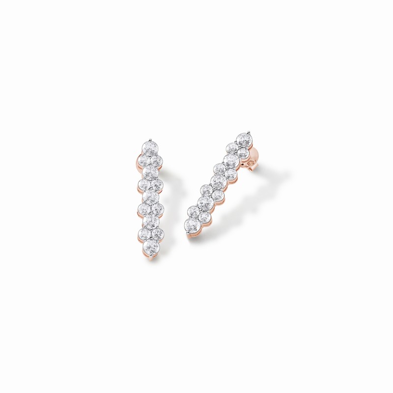 Statement Showstealer Earrings