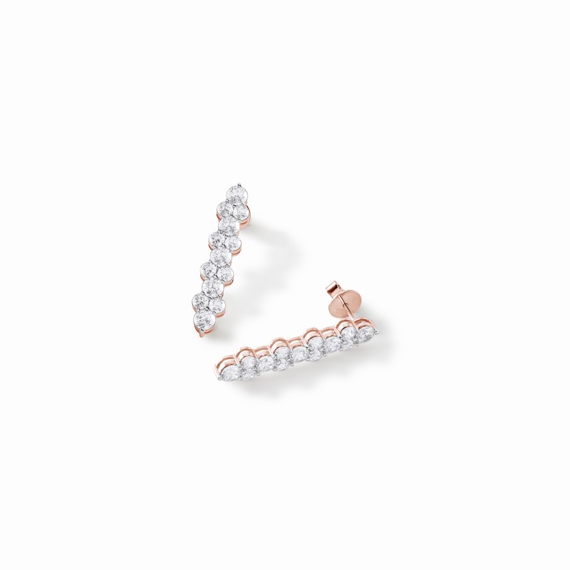 Statement Showstealer Earrings