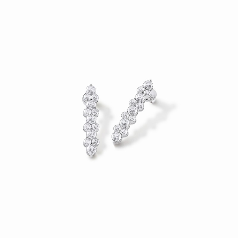 Statement Showstealer Earrings