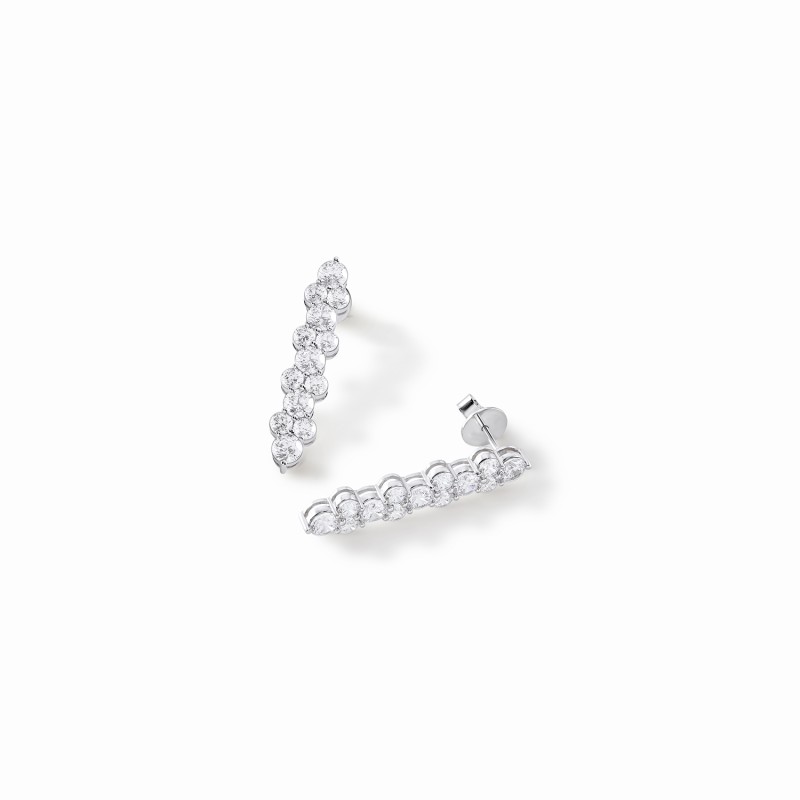 Statement Showstealer Earrings