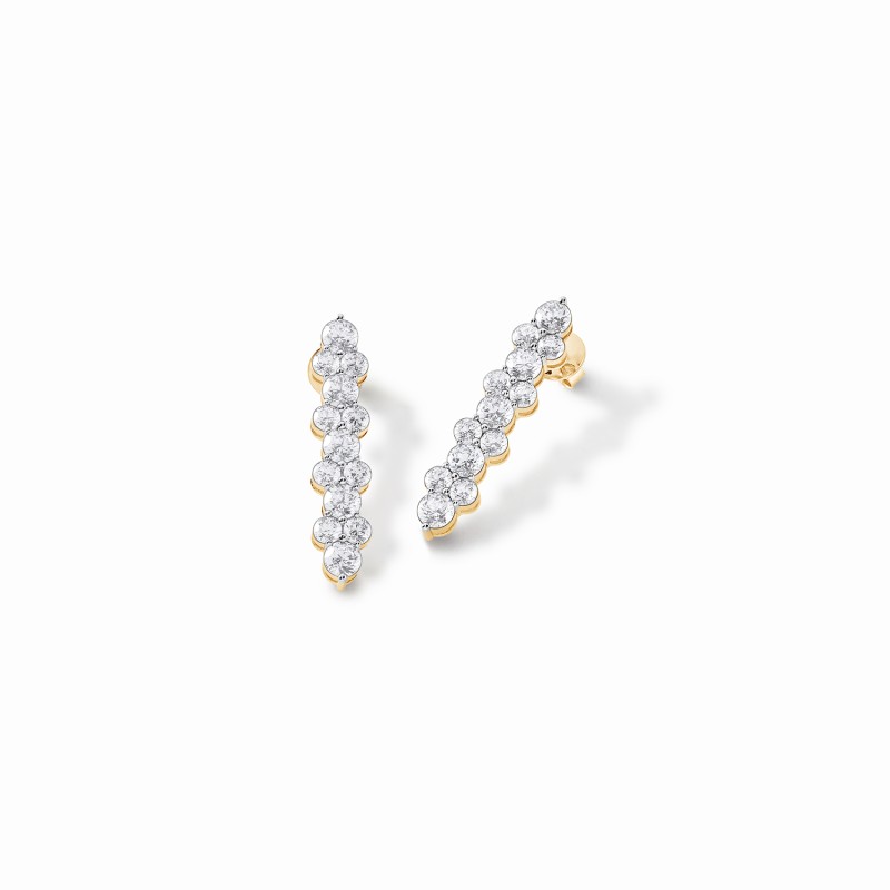 Statement Showstealer Earrings