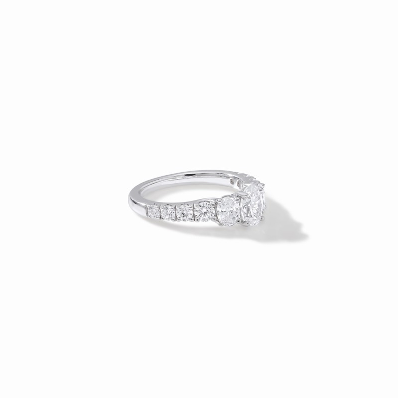 The Extravagant Engagement Ring