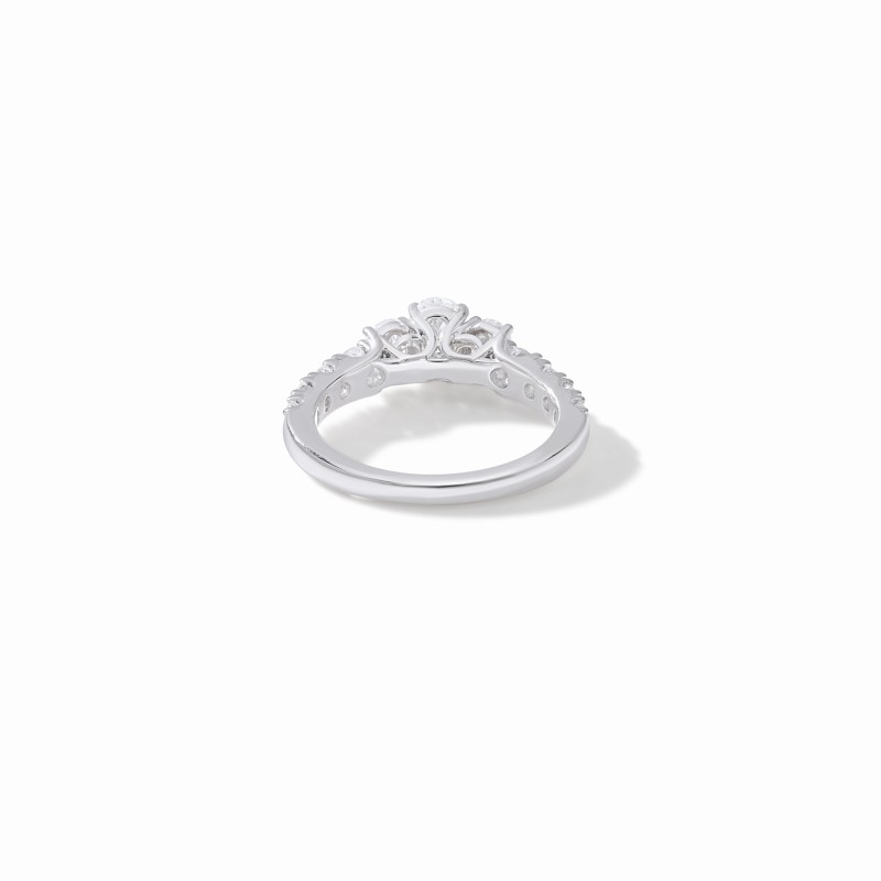 The Extravagant Engagement Ring