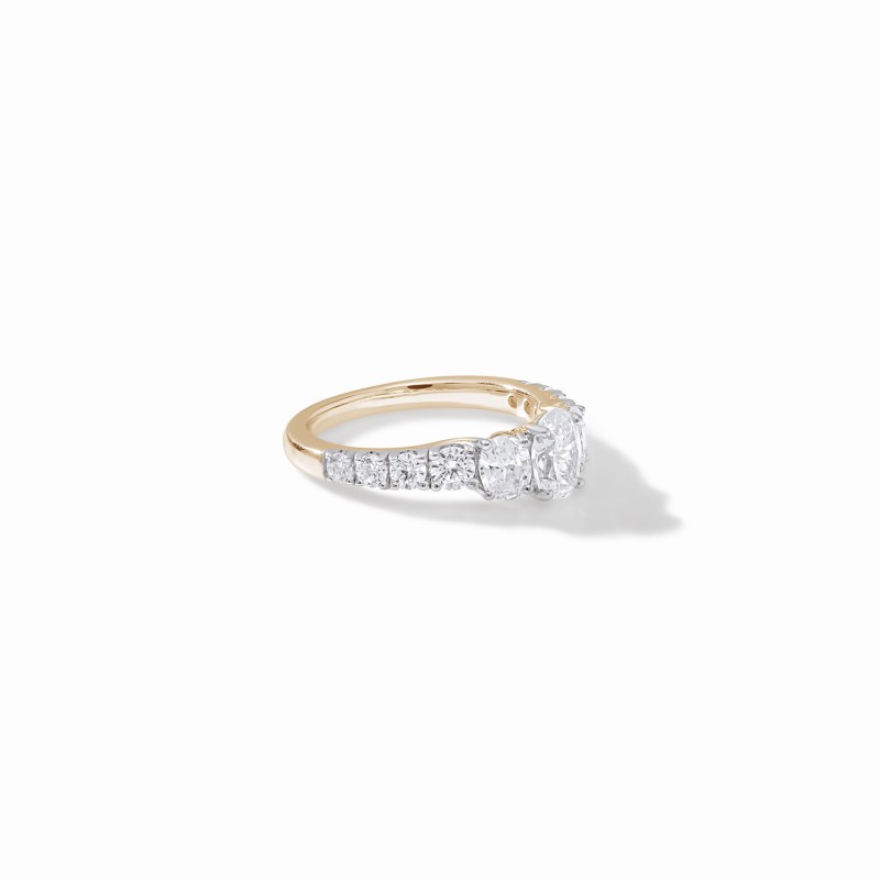 The Extravagant Engagement Ring