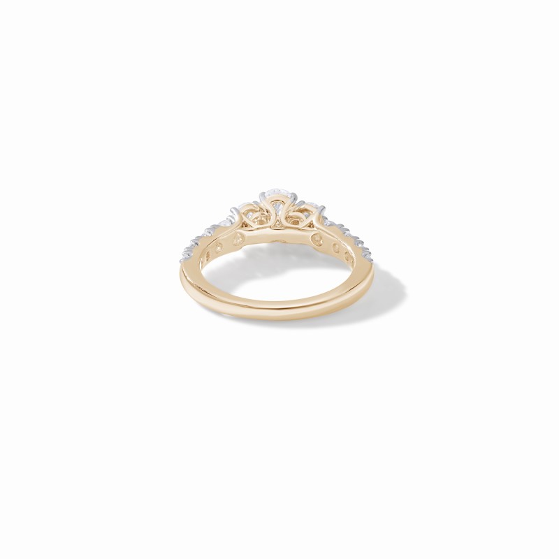 The Extravagant Engagement Ring